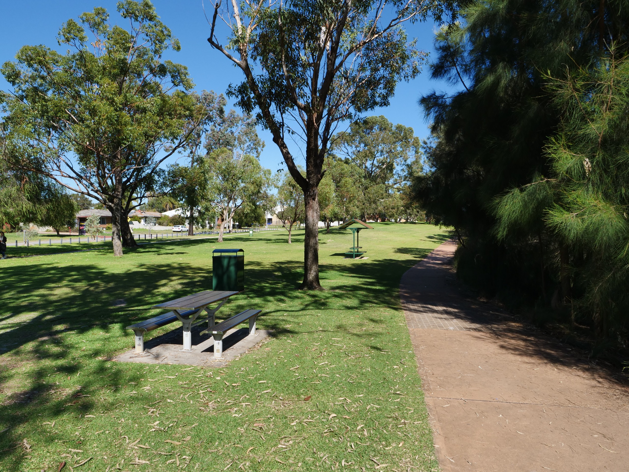Centenary Park Basketball Pad and Hoop | Belmont Connect