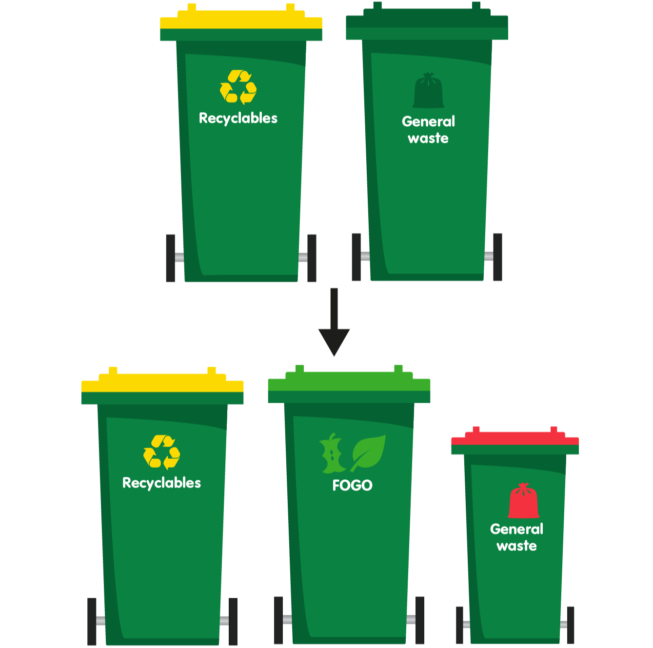 Three Bin System (FOGO) Belmont Connect