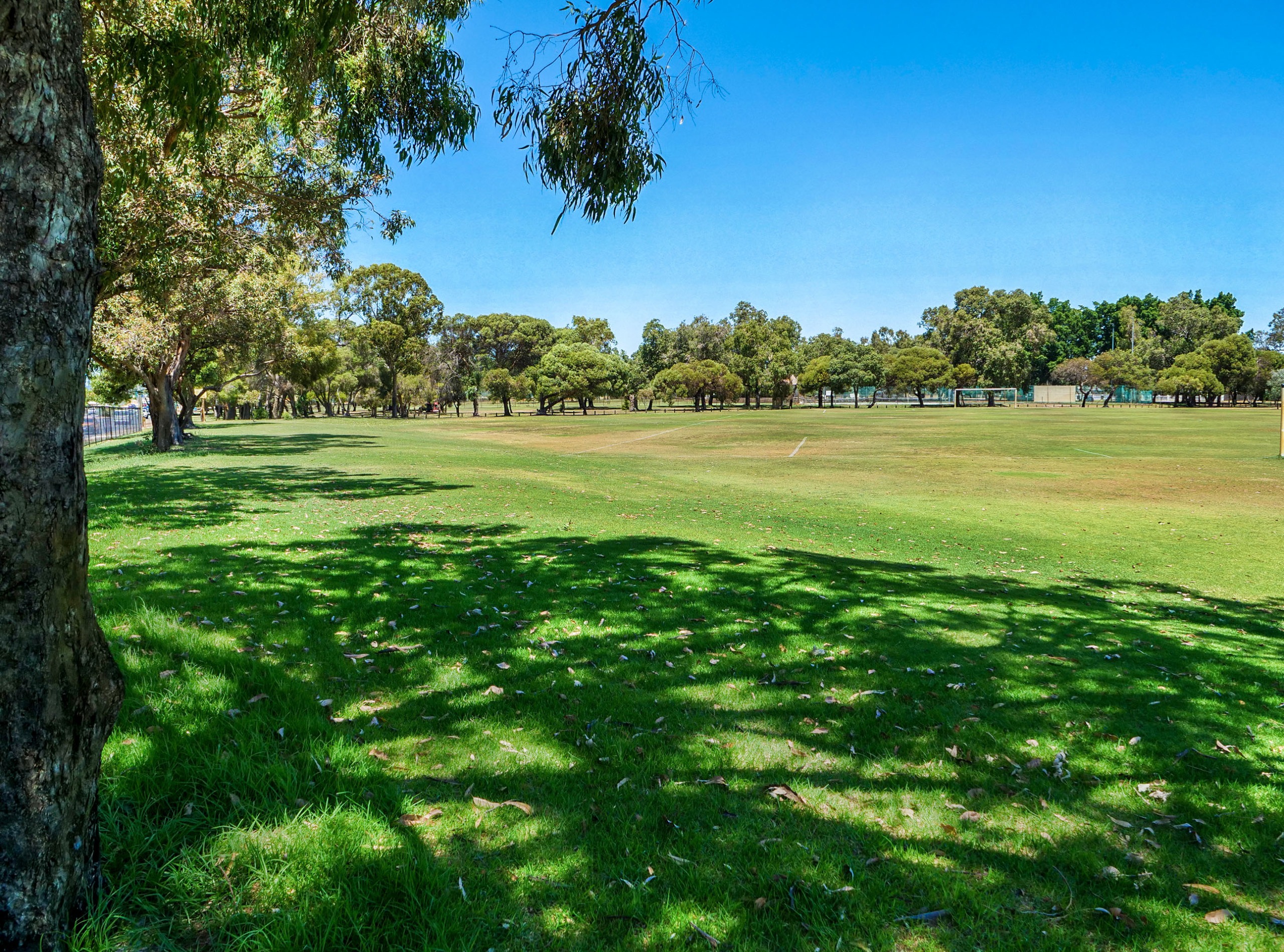 Sporting Precinct Belmont Connect